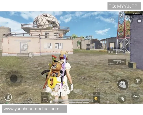 聚焦和平精英技术创新与TES团队的卓越表现分析