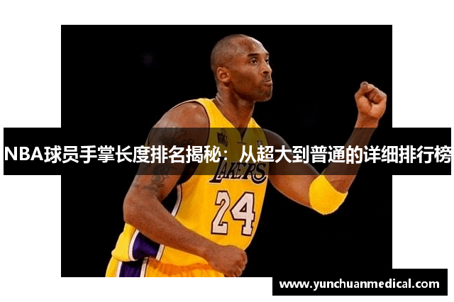 NBA球员手掌长度排名揭秘：从超大到普通的详细排行榜